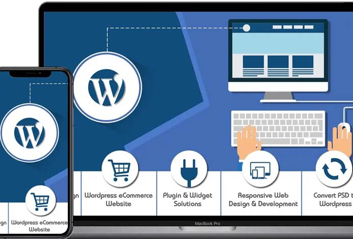 WordPress Development Company - Websolindia